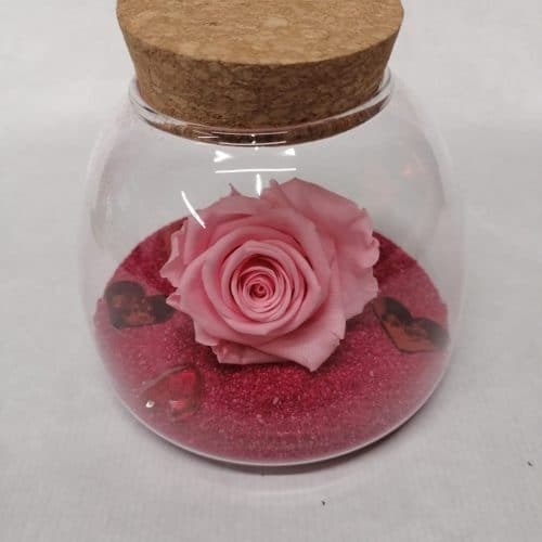 Rose éternelle - Chaumont, Les Fleurs - Artisan fleuriste Bègles - membre  réseau Interflora